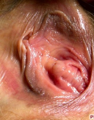 Женские вагины в развернутом виде (60 фото)